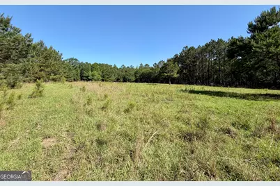 769 Mount Olive Church Road, Eastman, GA 31023 - Photo 14