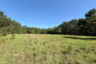 769 Mt Olive Church Rd, Eastman, GA 31023 - Photo 14