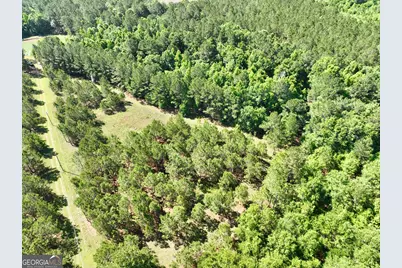 769 Mount Olive Church Road, Eastman, GA 31023 - Photo 24