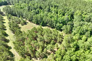 769 Mt Olive Church Rd, Eastman, GA 31023 - Photo 24