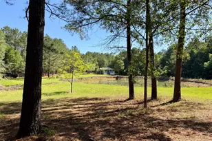 769 Mt Olive Church Rd, Eastman, GA 31023 - Photo 10