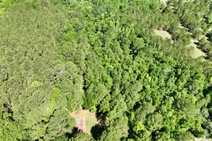 769 Mt Olive Church Rd, Eastman, GA 31023 - Photo 22