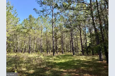 769 Mount Olive Church Road, Eastman, GA 31023 - Photo 6