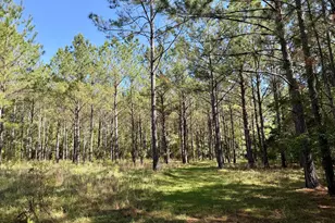 769 Mt Olive Church Rd, Eastman, GA 31023 - Photo 6