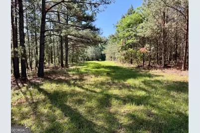 769 Mount Olive Church Road, Eastman, GA 31023 - Photo 62