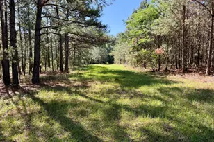 769 Mt Olive Church Rd, Eastman, GA 31023 - Photo 62