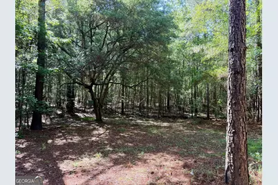 769 Mount Olive Church Road, Eastman, GA 31023 - Photo 60