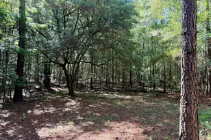 769 Mt Olive Church Rd, Eastman, GA 31023 - Photo 60
