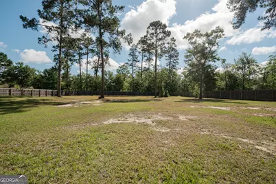 126 Harmonees Way, Ludowici, GA 31316 - Photo 6