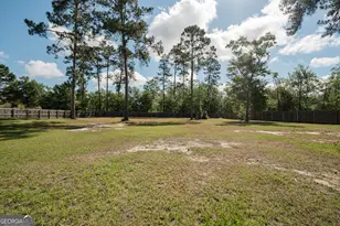 126 Harmonees Way, Ludowici, GA 31316 - Photo 6