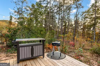 115 Raleigh Ridge Drive, Blue Ridge, GA 30513 - Photo 18