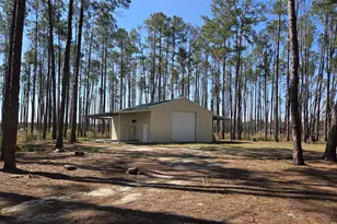 300 Hammond Powell Rd, Hazlehurst, GA 31539 - Photo 30