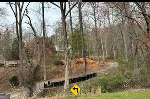 0 Circle Dr, Morganton, GA 30560 - Photo 2