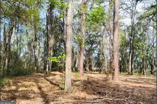 0000 W Black Island Road SE, Darien, GA 31305 - Photo 1