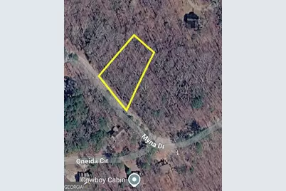 266 Myna Drive, Ellijay, GA 30540 - Photo 36