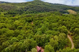 294 Oakwood Trl., Mineral Bluff, GA 30559 - Photo 6
