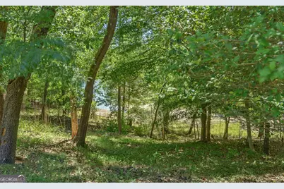194 Harvey Lane, Lavonia, GA 30553 - Photo 42