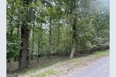 254 Myna Drive, Ellijay, GA 30540 - Photo 8