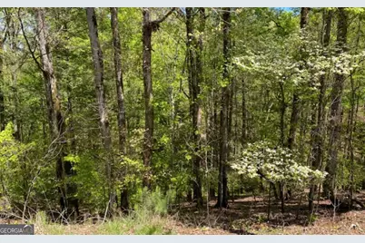 254 Myna Drive, Ellijay, GA 30540 - Photo 1