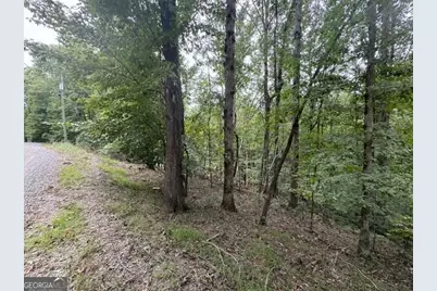 254 Myna Drive, Ellijay, GA 30540 - Photo 10