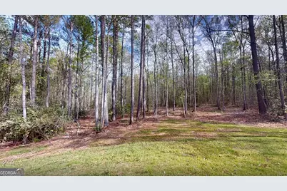 79 Lamb Road, Moreland, GA 30259 - Photo 46