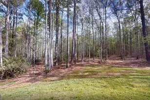 79 Lamb Rd, Moreland, GA 30259 - Photo 46