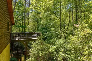 284 The Woods Rd, Mineral Bluff, GA 30559 - Photo 48
