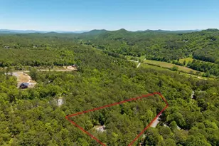 284 The Woods Rd, Mineral Bluff, GA 30559 - Photo 54