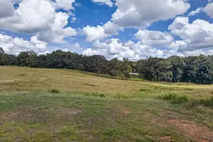 3253 W Hwy 5, Bowdon, GA 30108 - Photo 44