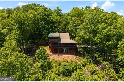 161 Huntington Way, Blue Ridge, GA 30513 - Photo 64
