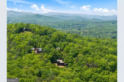 161 Huntington Way, Blue Ridge, GA 30513 - Photo 62