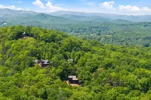 161 Huntington Way, Blue Ridge, GA 30513 - Photo 62