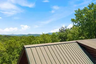161 Huntington Way, Blue Ridge, GA 30513 - Photo 60
