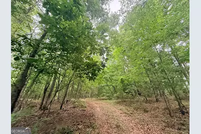 715 Fulsome Creek Road, Sparta, GA 31087 - Photo 38