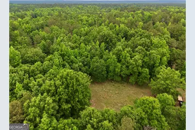 715 Fulsome Creek Road, Sparta, GA 31087 - Photo 34