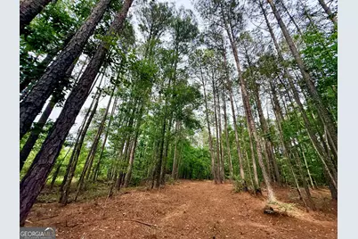 715 Fulsome Creek Road, Sparta, GA 31087 - Photo 66