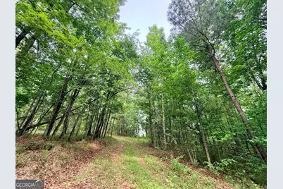 715 Fulsome Creek Road, Sparta, GA 31087 - Photo 54