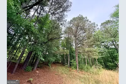 715 Fulsome Creek Road, Sparta, GA 31087 - Photo 70