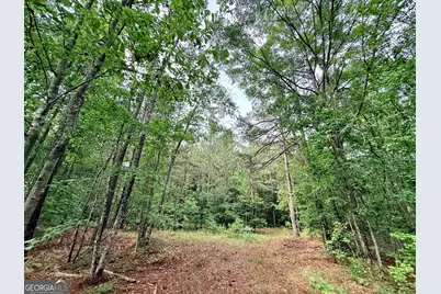 715 Fulsome Creek Road, Sparta, GA 31087 - Photo 96