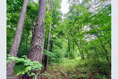 715 Fulsome Creek Road, Sparta, GA 31087 - Photo 78