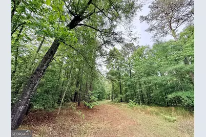 715 Fulsome Creek Road, Sparta, GA 31087 - Photo 100