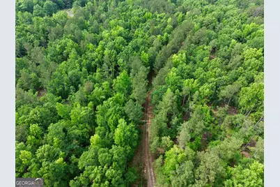 715 Fulsome Creek Road, Sparta, GA 31087 - Photo 114