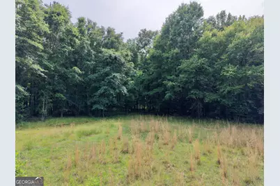 715 Fulsome Creek Road, Sparta, GA 31087 - Photo 20