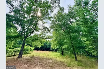 715 Fulsome Creek Road, Sparta, GA 31087 - Photo 12