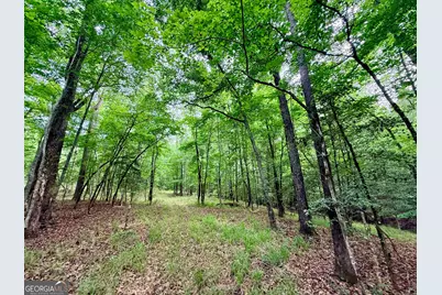 715 Fulsome Creek Road, Sparta, GA 31087 - Photo 62