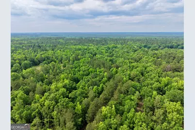 715 Fulsome Creek Road, Sparta, GA 31087 - Photo 116