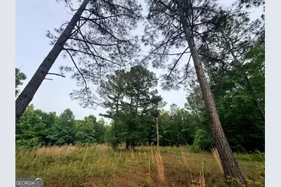715 Fulsome Creek Road, Sparta, GA 31087 - Photo 42