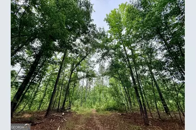 715 Fulsome Creek Road, Sparta, GA 31087 - Photo 86