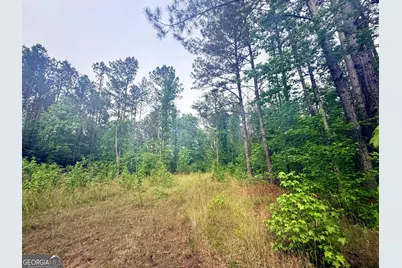 715 Fulsome Creek Road, Sparta, GA 31087 - Photo 84