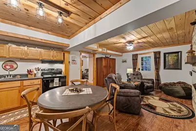 4396 Highway 382 W, Ellijay, GA 30540 - Photo 62